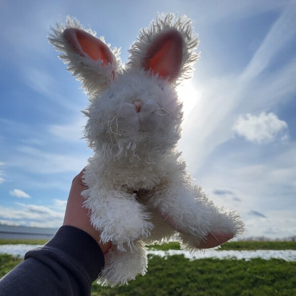 bunnyk2013